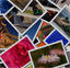 Pictures Videos